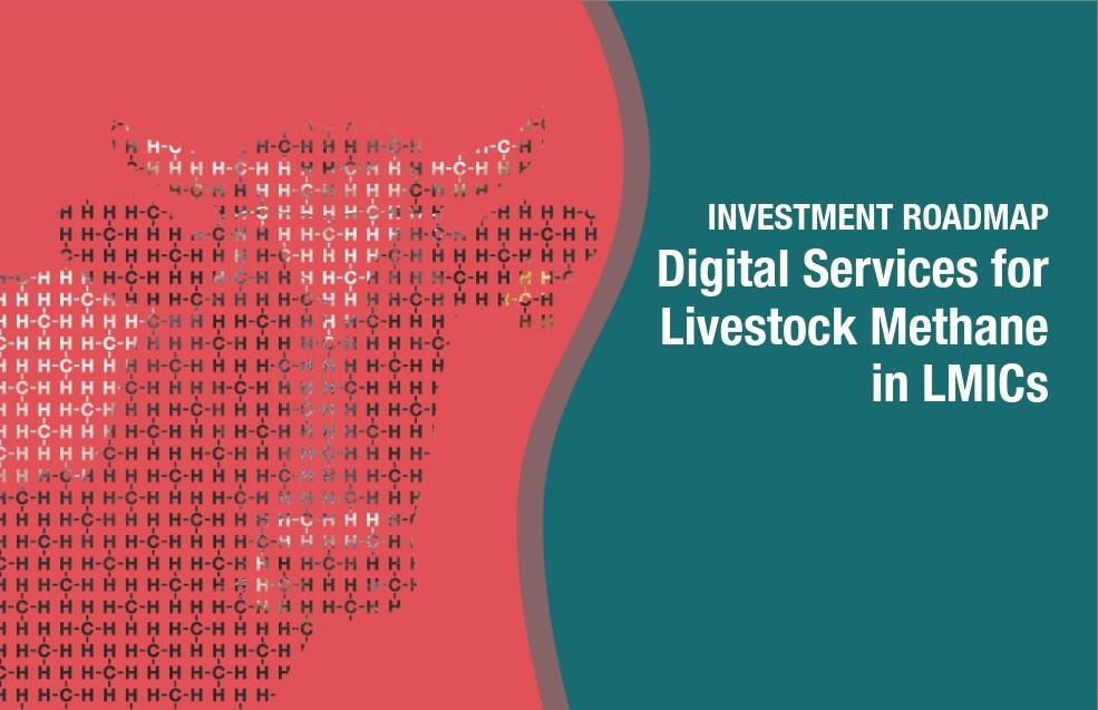 Digital Services for Livestock Methane in LMICs