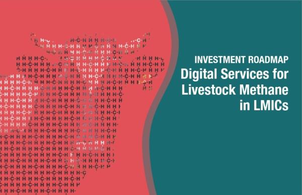Digital Services for Livestock Methane in LMICs